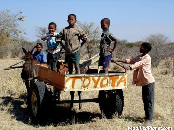 car-photo-homemade-horse-cart-carriage-africa-toyota-painted-on-back