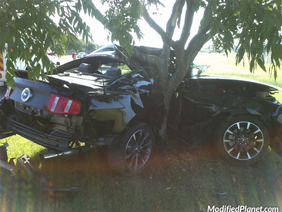 car-photo-2012-ford-mustang-crash-accident-wrapped-around-tree