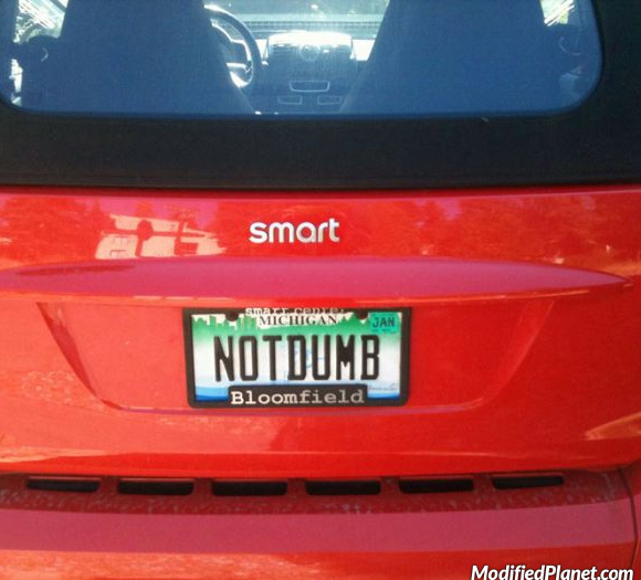 car-photo-2010-smart-fortwo-funny-license-plate-not-dumb-notdumb
